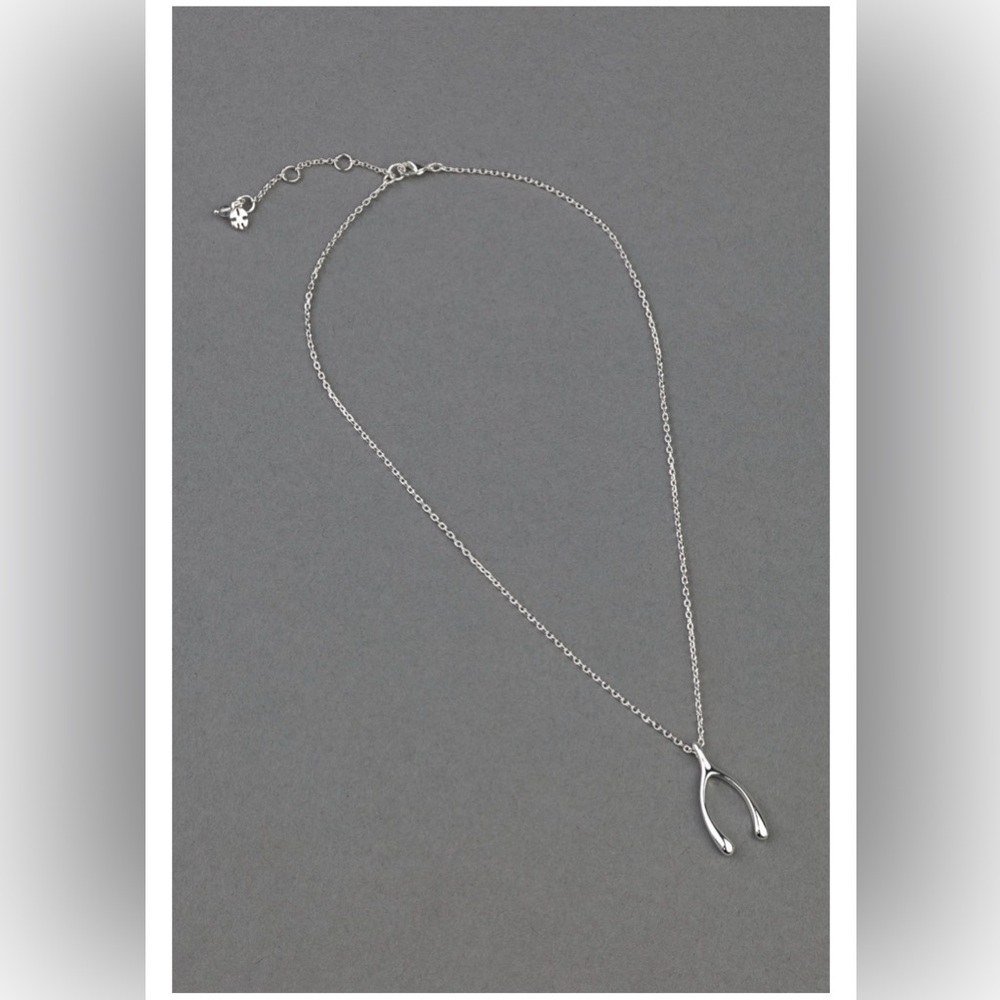 Lucky brand wish bone necklace